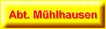 Freiwillige Feuerwehr M�hlacker Abt. M�hlhausen